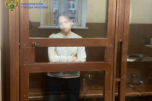 РЕН ТВ: женщина, толкнувшая девочку в метро, страдает манией преследования