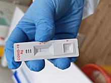 Экспресс-тест на антигены к коронавирусу можно сделать в домашних условиях: как узнать результат за 5 минут (ВИДЕО)