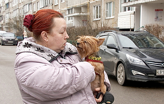 Путь к трагедии: чем опасен "свободный выгул" собак