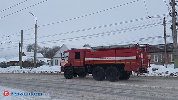 Четверых пензенских подростков наградили за мужество