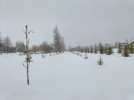 12 марта в Самарской области будет пасмурно