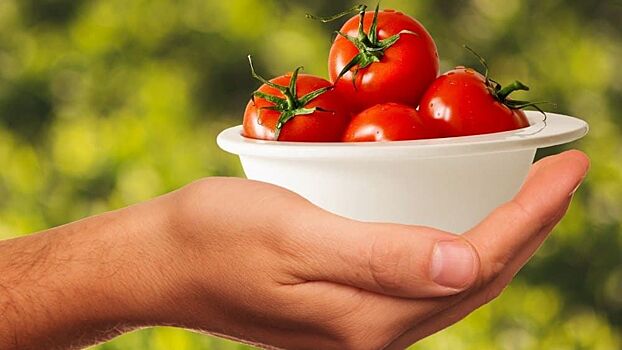 9 причин полюбить помидоры