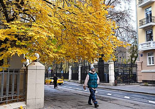 Почему осень — самое опасное время года на дорогах страны