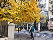 Почему осень — самое опасное время года на дорогах страны