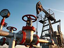 Доходам России от продажи нефти предсказали рост при падении цен