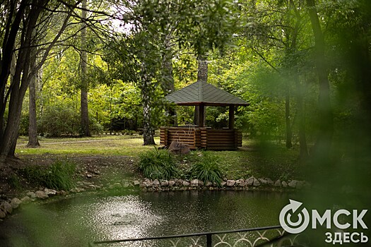 Торжество среди зелени. В омском дендросаду теперь можно жениться