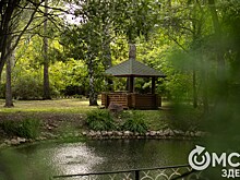 Торжество среди зелени. В омском дендросаду теперь можно жениться