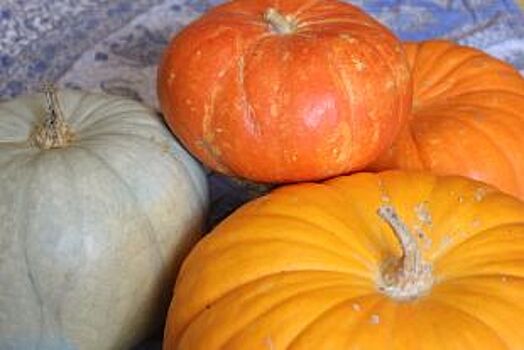 День тыквы состоится в Адыгее 12 октября