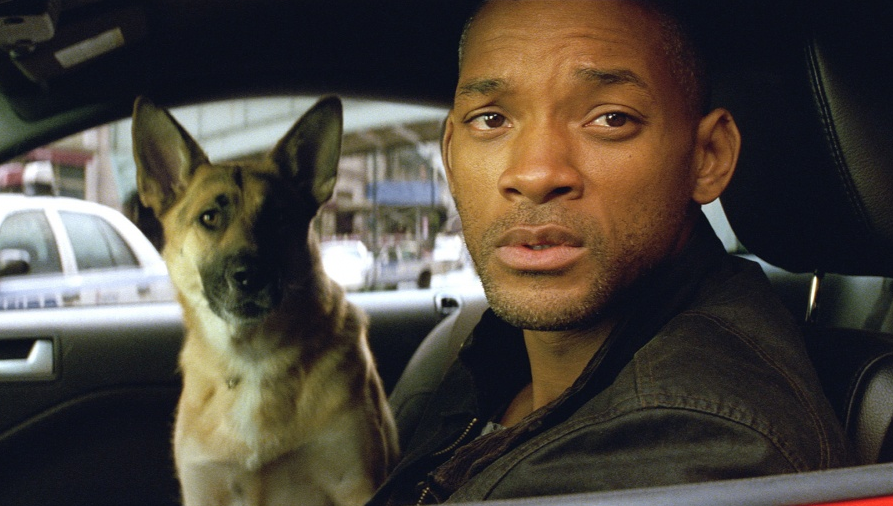 Зачем Уилл Смит хотел выкупить собаку со съемок фильма «Я — легенда»: видео