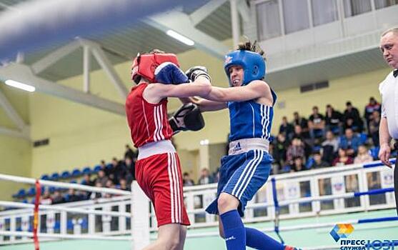 В Курске открылся турнир по боксу, посвященный известному тренеру Владимиру Поветкину