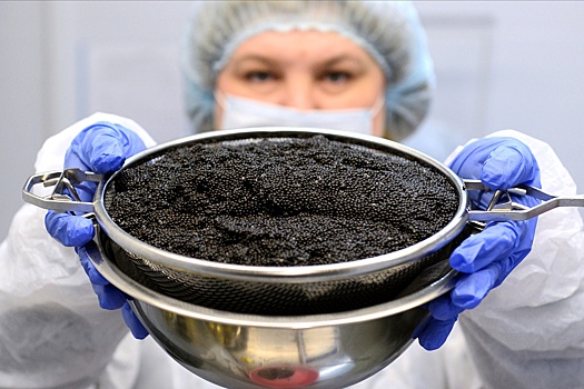 В Астраханской области произвели 25 тонн черной икры