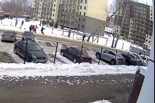 В Челябинске попало на видео, как коммунальщики уронили березу на машину