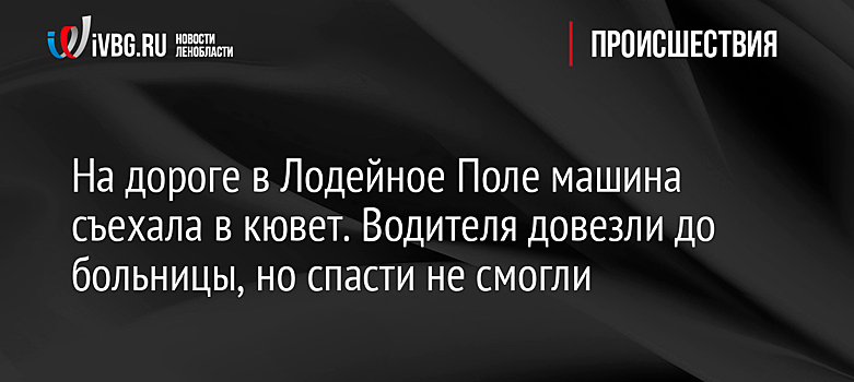 На дороге в Лодейное Поле машина съехала в кювет. Водителя довезли до больницы, но спасти не смогли