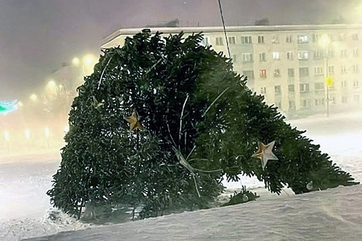 Шквалистый ветер и метель завалили новогодние елки в Мурманской области