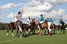В «Московском Поло Клубе» прошёл Кубок Федерации по конному поло