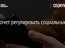 ФАС хочет регулировать социальные сети