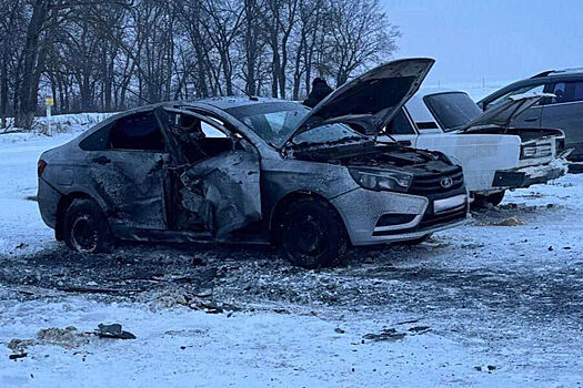 ВСУ атаковали беспилотниками населенные пункты шести округов Белгородской области