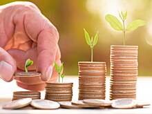 Регионы довели до аграриев 73,4% федеральных субсидий