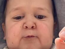 Хасбик обвинил в лицемерии раскритиковавших его за жестокое обращение с кошкой