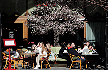 Бронирование столиков на летних верандах и ужин на скамейке возле кафе — как прошли первые выходные работы московского общепита в формате ковид-фри
