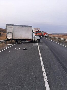 Водитель ГАЗа под Саратовом «увел» КамАЗ в кювет