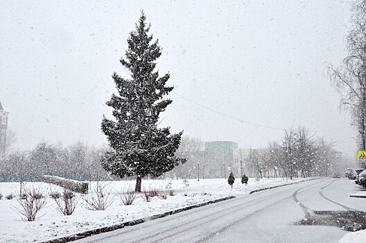 «Не исключаю 30-градусных морозов»: синоптик рассказал о погоде в Москве в феврале