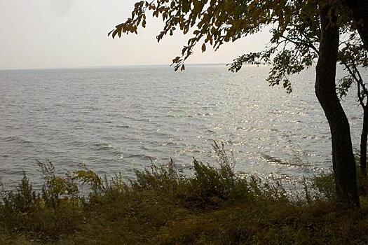 «Прямо в камеру кидается»: что происходит возле озера Ханка в Приморье
