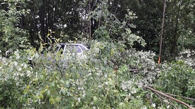 На трассе под Устюжной умер за рулем водитель «Приоры»