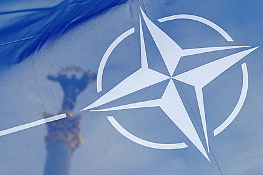 Бывший спикер Рады оценил сроки вступления Украины в НАТО