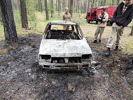 Загоревшаяся «Ока» чуть не стала причиной лесного пожара в Минусинском районе