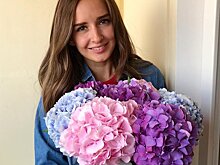 Маргариту Агибалову раскритиковали за пристрастие к породистым собакам