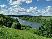 Заповедники России предлагают частично использовать для обороны