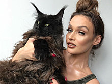 Водонаева купила квартиру для своего кота в Москве за 19 миллионов рублей