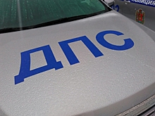Красноярские автоинспекторы задержали водителя, перевозившего детей в багажнике