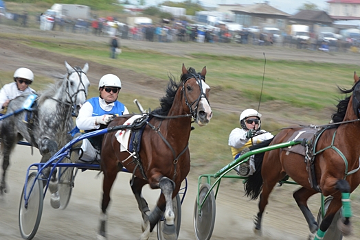 Конноспортивные соревнования в Троицке стали шагом к возврату коневодческих традиций