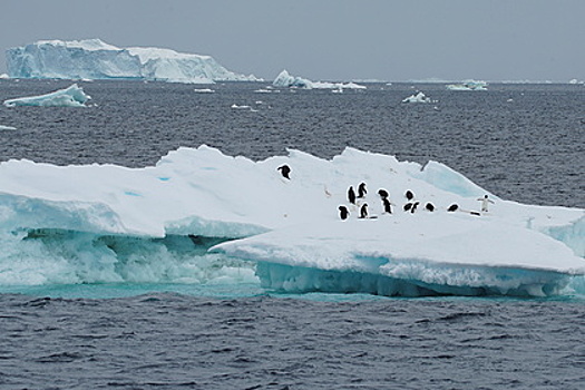 В Антарктиде рекордно потеплело