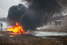 «Люди разводят костры»: за неделю в Поморье произошло 44 лесных пожара