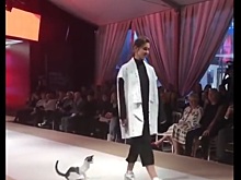 Кот стал главным героем показа мод в Турции. Видео
