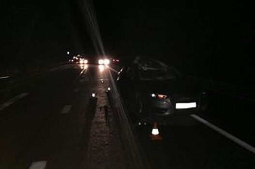 Два человека пострадали в аварии с лосем в Верховажском районе
