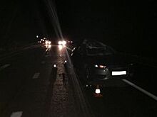 Два человека пострадали в аварии с лосем в Верховажском районе