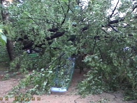Ураган в Псковской и Тверской областях: есть жертвы и разрушения