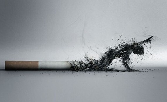 Ученые: Около 85% случаев заболевания раком вызваны курением