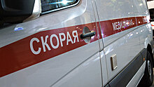 Автобус с людьми улетел в кювет в Ленинградской области
