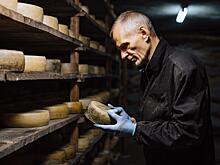 За I полугодие производство сыров в России снизилось на 1,3%