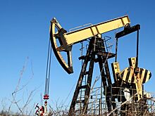 Болгария потребовала у Еврокомиссии отсрочить эмбарго на российскую нефть