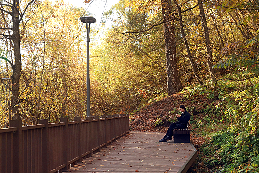 По дороге к Пятачку. От метро «Давыдково» к Верейской улице – по экотропе