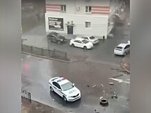 В ДТП, которое устроил пьяный водитель в Хабаровске, погибли 2 человека