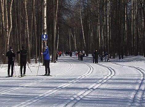На время проведения "Лыжни России" в Самаре ограничат движение транспорта