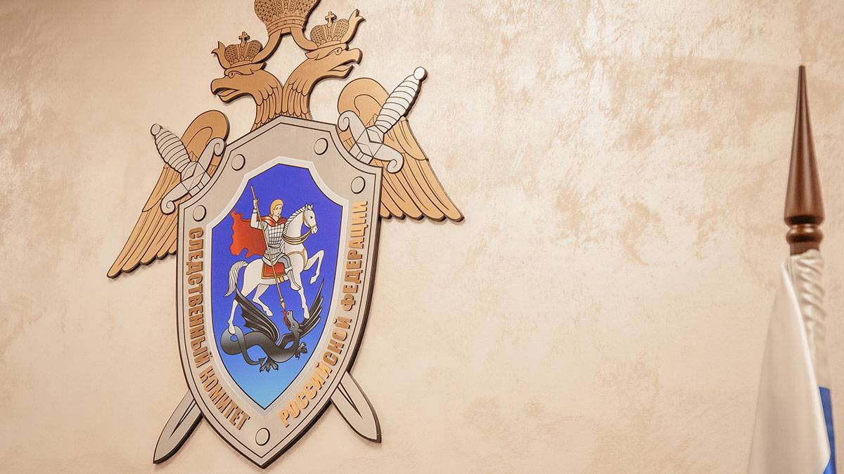 СК расследует обстоятельства попыток Киева приметить БПЛА для атаки объектов в РФ