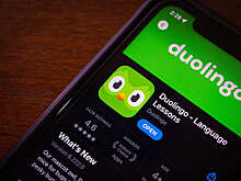 Роскомнадзор запросил проверку на ЛГБТ-пропаганду сервиса Duolingo